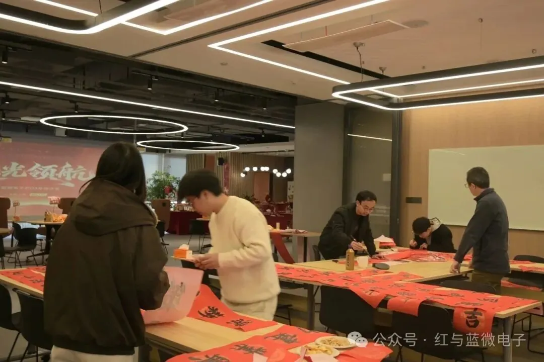 逐光领航｜红与蓝微电子2025年会沙龙圆满落幕 - image-001.jpeg