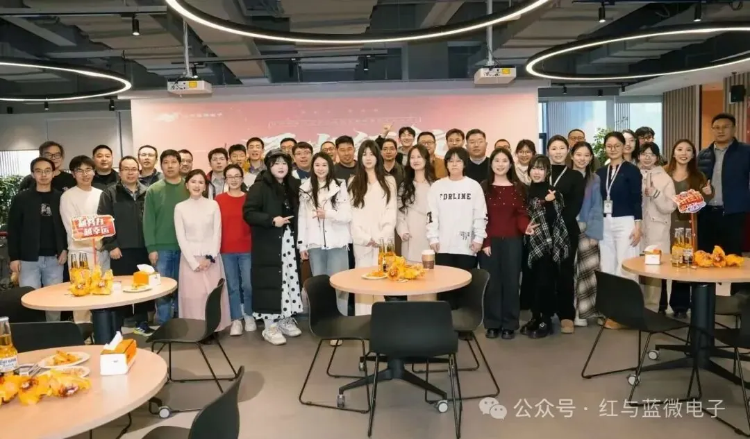 逐光领航｜红与蓝微电子2025年会沙龙圆满落幕 - image-004.jpeg