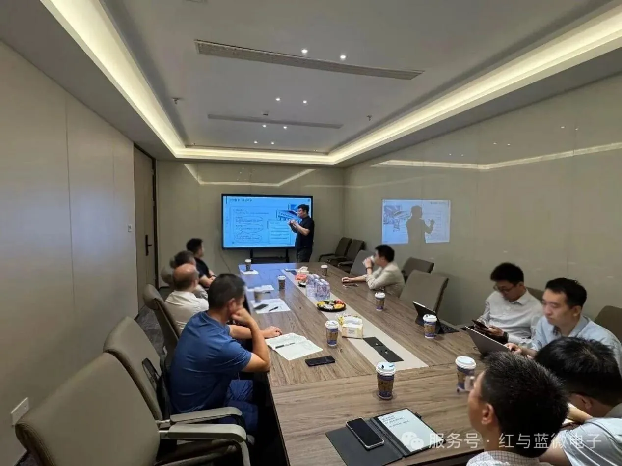 热烈欢迎武汉东湖高新区管委会一行莅临红与蓝微电子走访调研 - image-001.jpeg