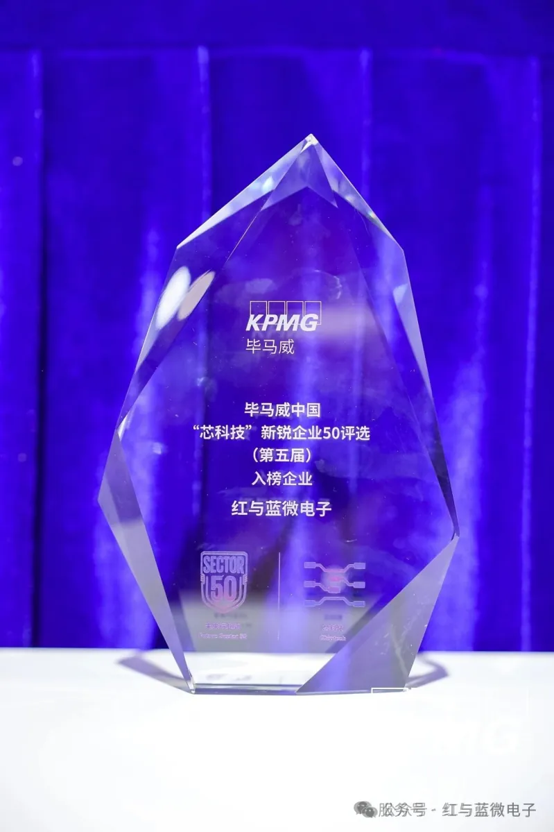 红与蓝微电子产品与技术 红与蓝微电子2024年度回顾 - image-003.png