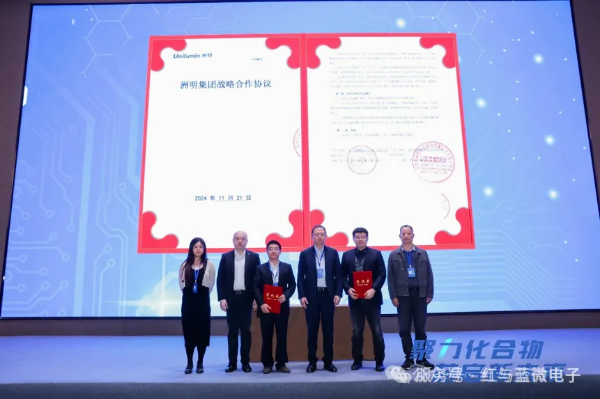 红与蓝微电子产品与技术 红与蓝微电子2024年度回顾 - image-005.png