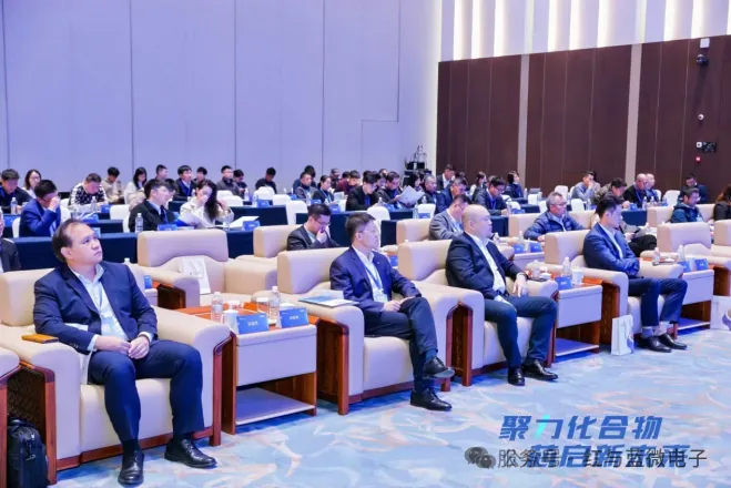 红与蓝微电子产品与技术 红与蓝微电子2024年度回顾 - image-006.png