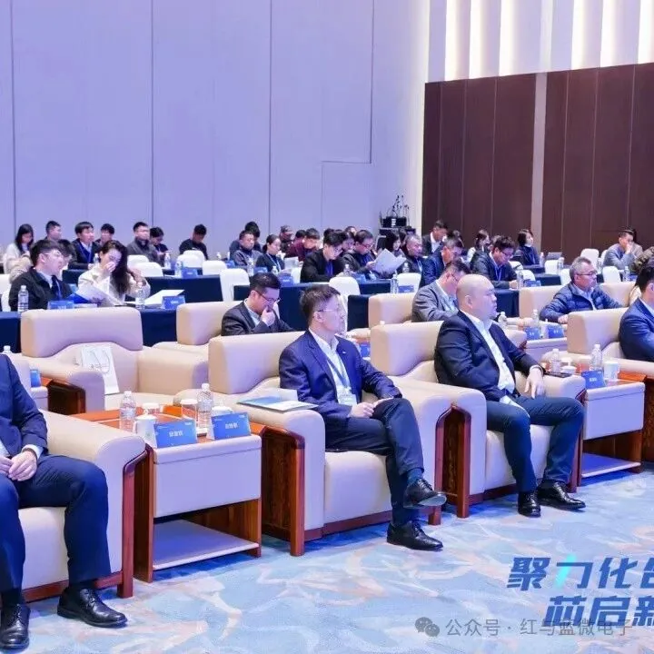 红与蓝微电子产品与技术 2024年临港化合物半导体论坛圆满落幕:群英荟萃共谋行业发展新蓝图 - image-001.jpeg