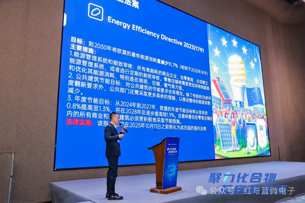 红与蓝微电子产品与技术 2024年临港化合物半导体论坛圆满落幕:群英荟萃共谋行业发展新蓝图 - image-005.png