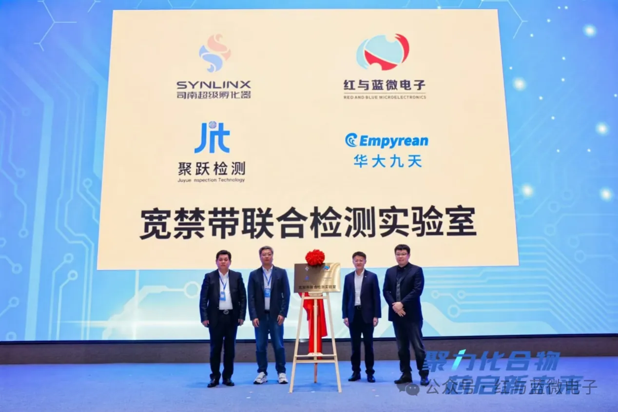红与蓝微电子产品与技术 2024年临港化合物半导体论坛圆满落幕:群英荟萃共谋行业发展新蓝图 - image-007.png